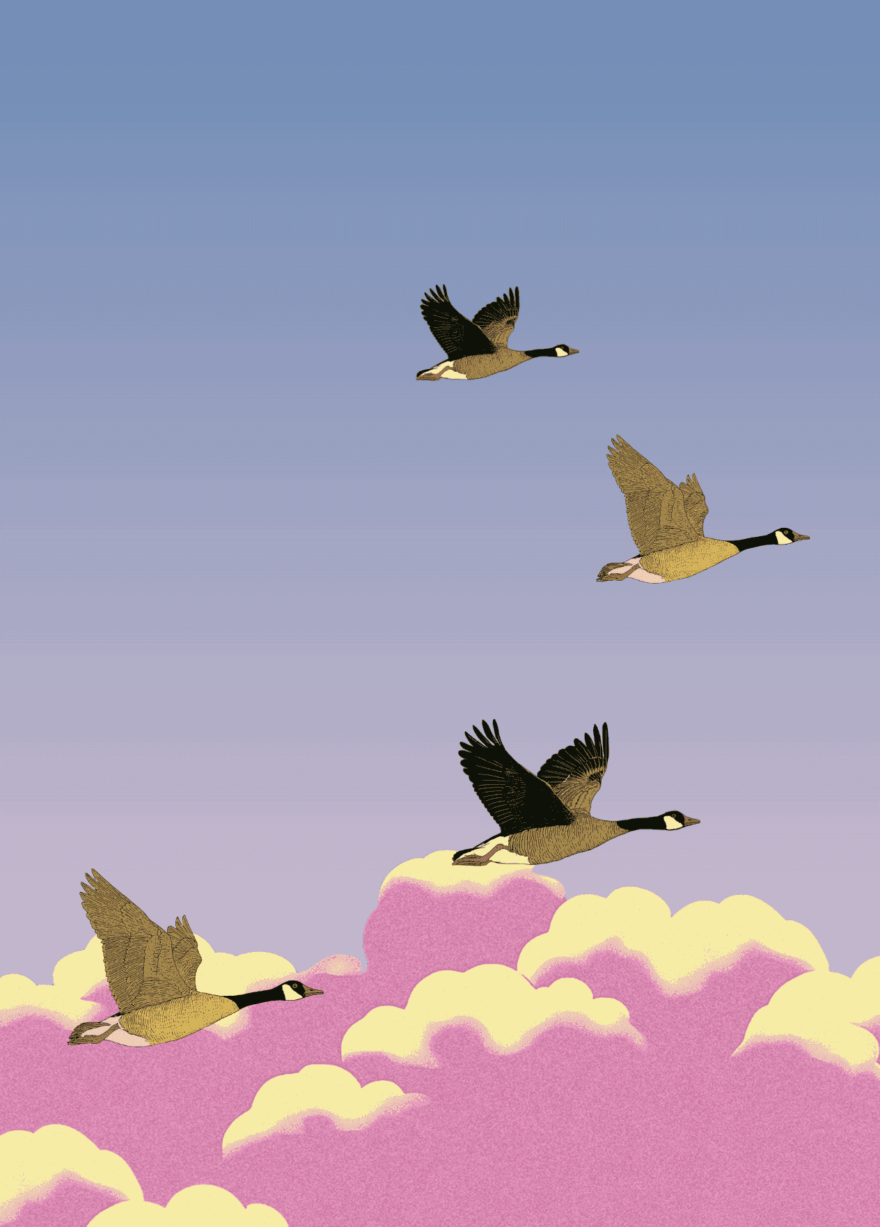 Baba Care - Web Design by Christopher Bolliger & Little Plains